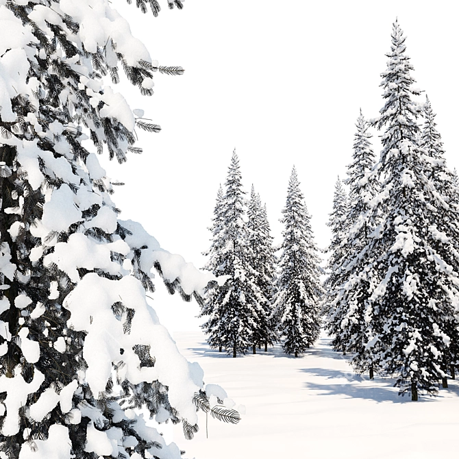 Scandinavian Evergreen Tree Pair 3D model image 2