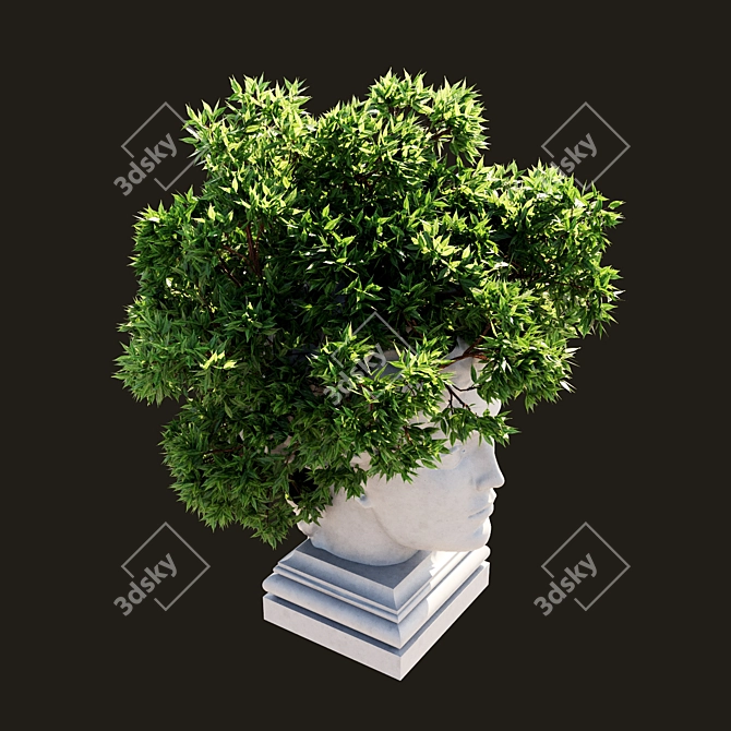 Translated Description: "Pot with a flower instead of 'hair'"
Title:  Flower Pot Hair Planter 3D model image 2