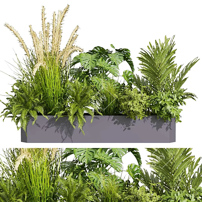 Premium Plant Collection: Ampelous Palm Grass 3D model image 4