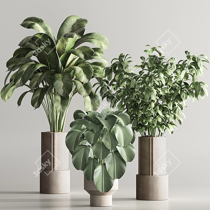  Contemporary Indoor Plant Set 3D model image 4