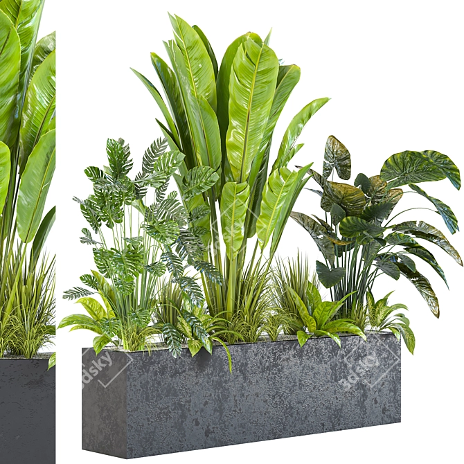 Diverse Indoor/Outdoor Plant Collection 3D model image 1