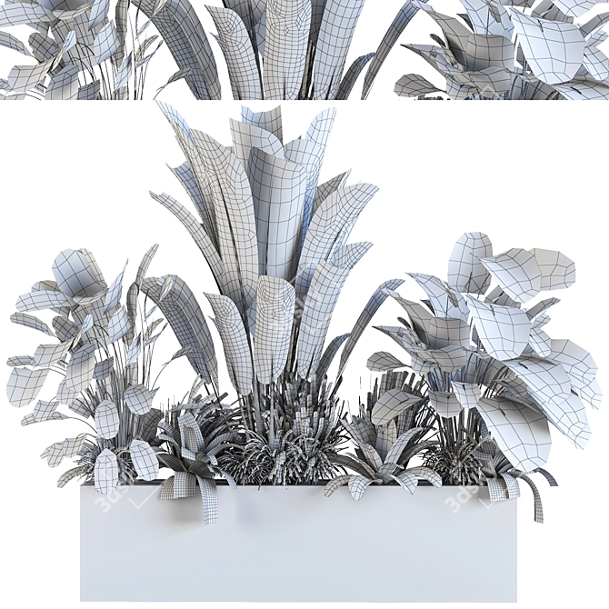 Diverse Indoor/Outdoor Plant Collection 3D model image 5