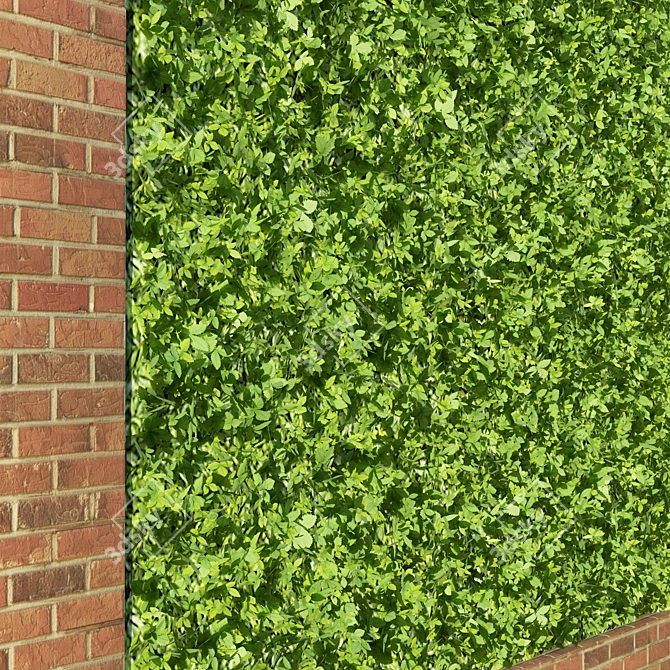 3D Green Wall with Hedge 3D model image 2