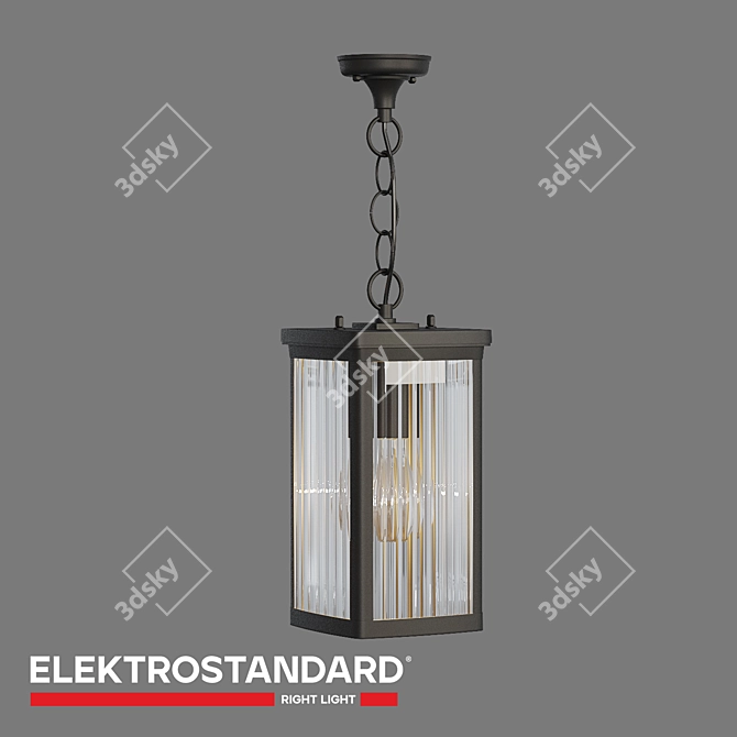 Outdoor Pendant Light Elektrostandard Lame 3D model image 2