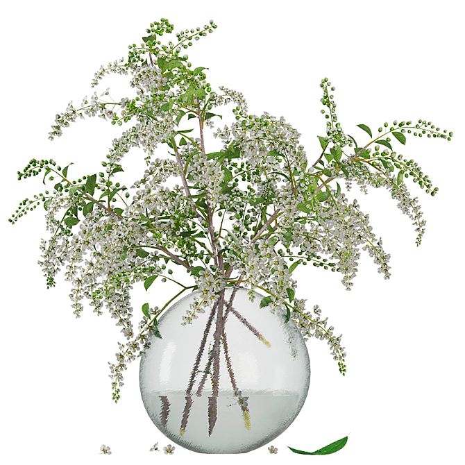  Elegant Bird Cherry Bouquet 3D model image 1