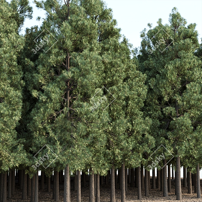  PBR Pine Trees Collection Vol.178 3D model image 3