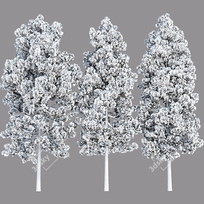  PBR Pine Trees Collection Vol.178 3D model image 5