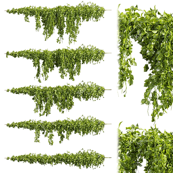 Premium Outdoor Ivy Bush Model 3D model image 1
