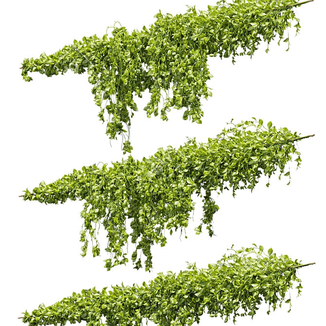 Premium Outdoor Ivy Bush Model 3D model image 4