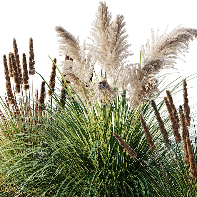 10 Piece Outdoor Plant Set 3D model image 3