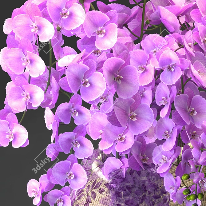 Eastern Orchid Bouquet & Vase 3D model image 3