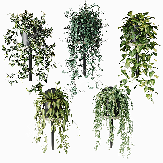 CIGALES WALL Hanging Plants Display 3D model image 2