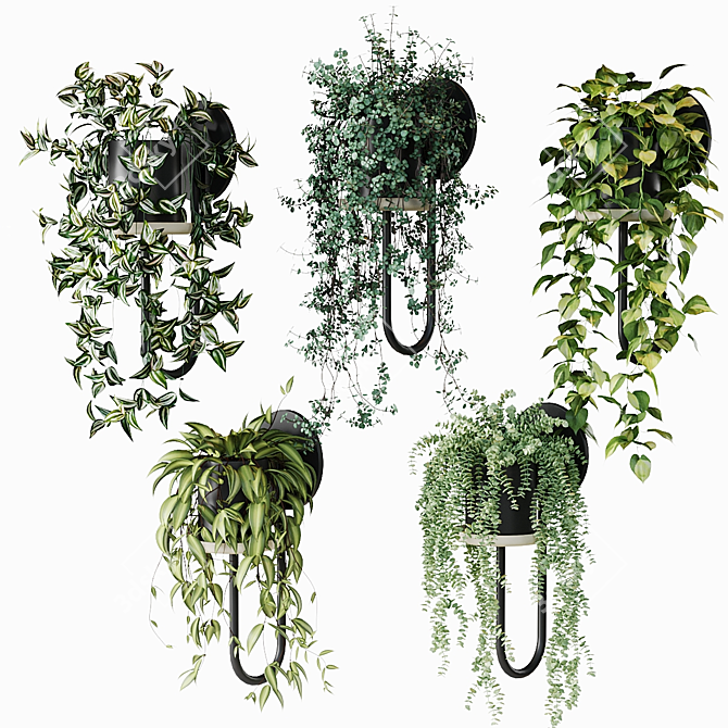 CIGALES WALL Hanging Plants Display 3D model image 1