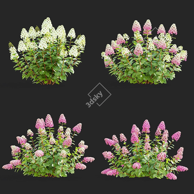 Pink Hydrangea Set for 3D 3D model image 2