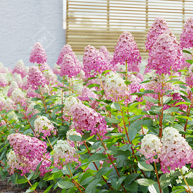 Pink Hydrangea Set for 3D 3D model image 3