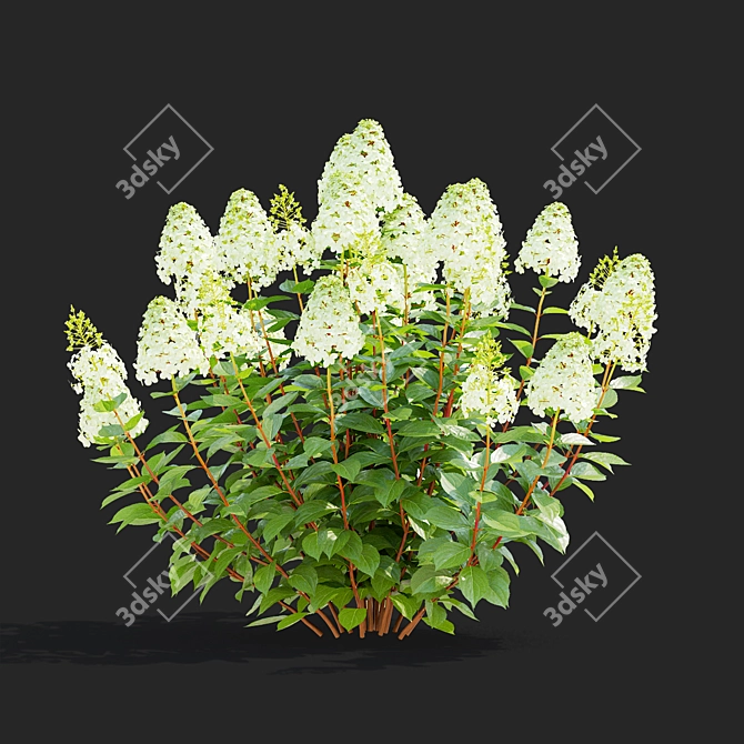 Pink Hydrangea Set for 3D 3D model image 5