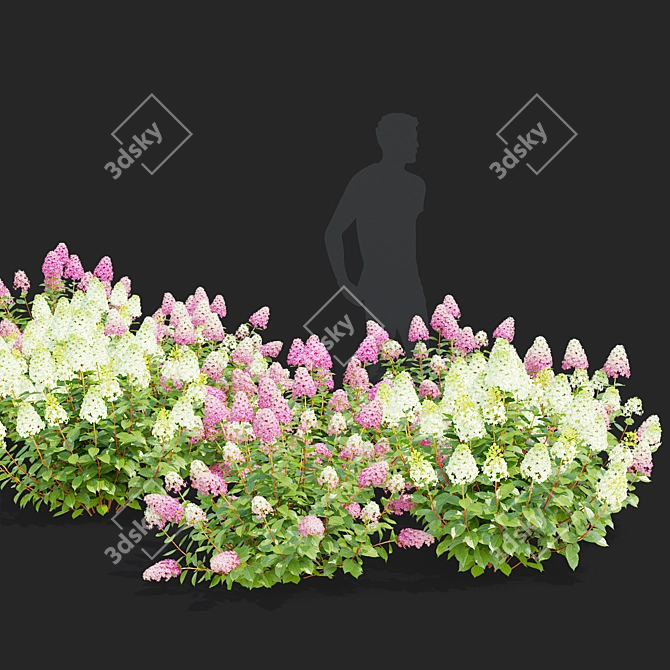 Pink Hydrangea Set for 3D 3D model image 6