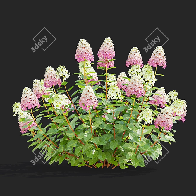 Pink Hydrangea Set for 3D 3D model image 7