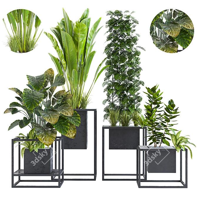 Variety Indoor/Outdoor Plant Collection 3D model image 2