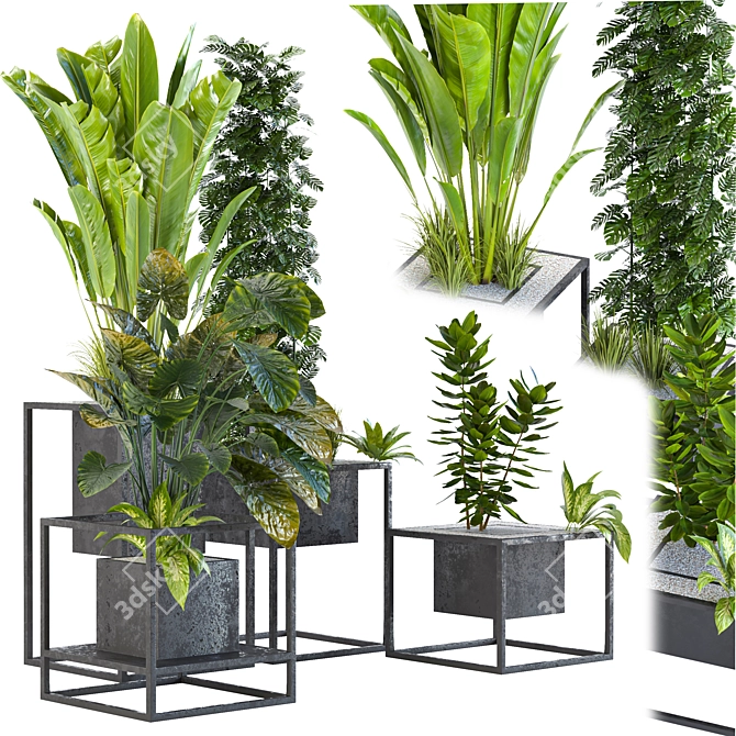 Variety Indoor/Outdoor Plant Collection 3D model image 3