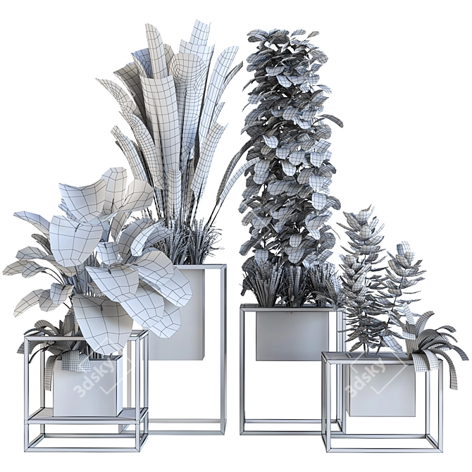 Variety Indoor/Outdoor Plant Collection 3D model image 7