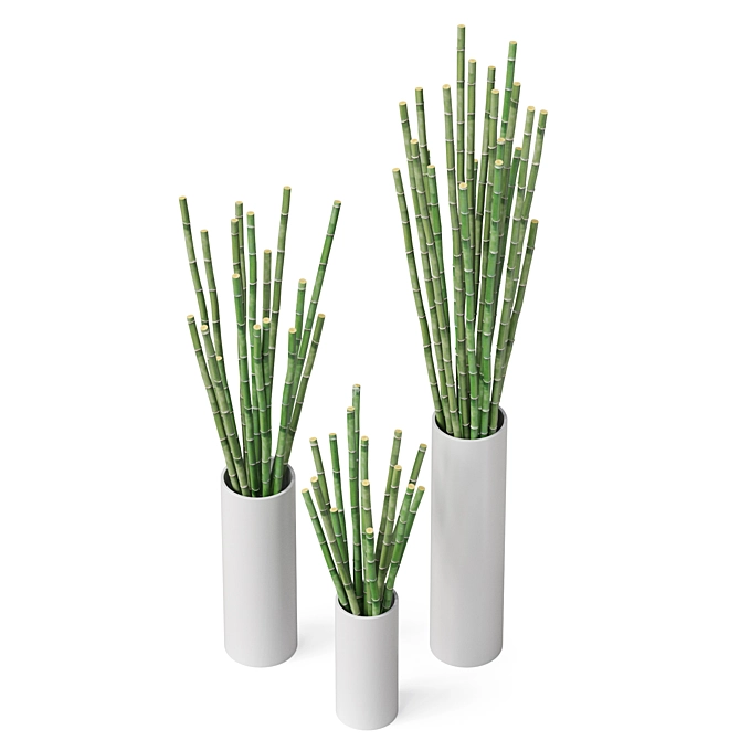 Artistic Bamboo Sculpture Display Piece 3D model image 3