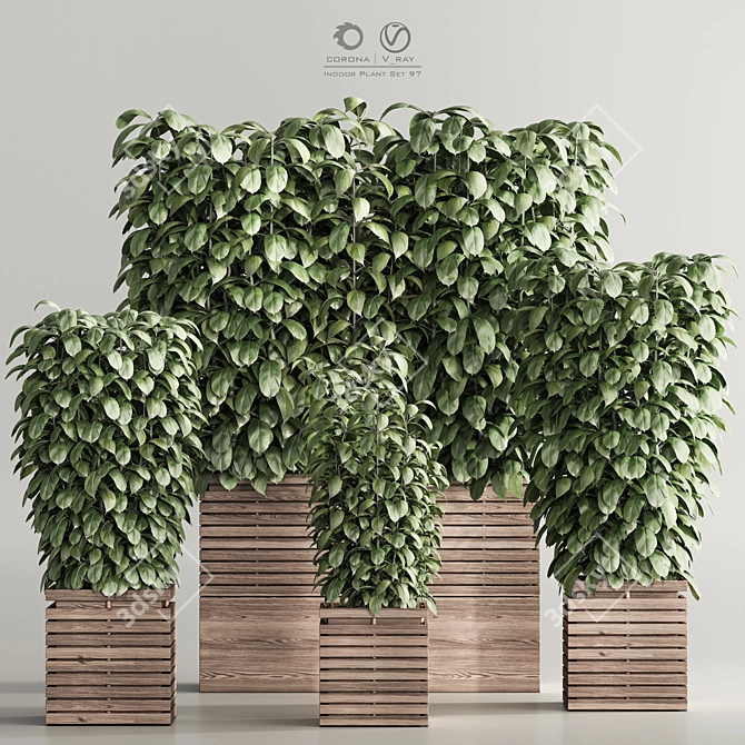  Contemporary Indoor Plant Set 97 3D model image 1