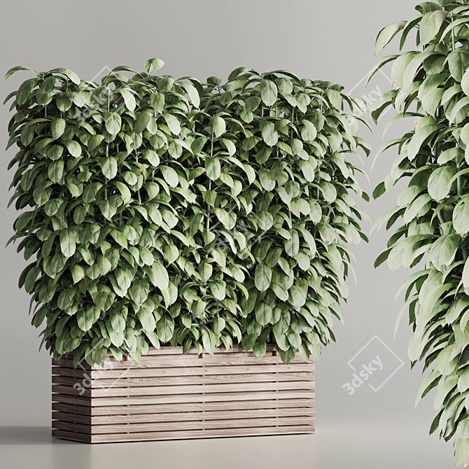  Contemporary Indoor Plant Set 97 3D model image 2