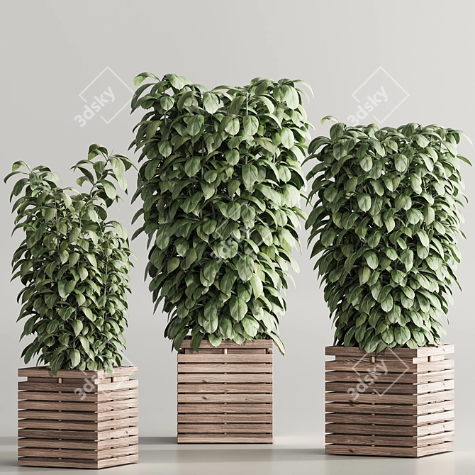  Contemporary Indoor Plant Set 97 3D model image 3