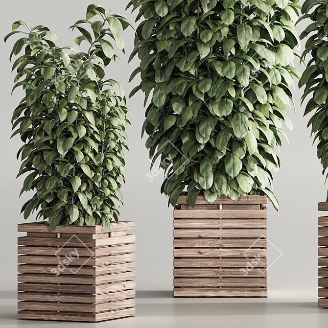  Contemporary Indoor Plant Set 97 3D model image 4