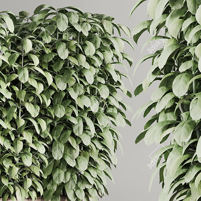  Contemporary Indoor Plant Set 97 3D model image 5