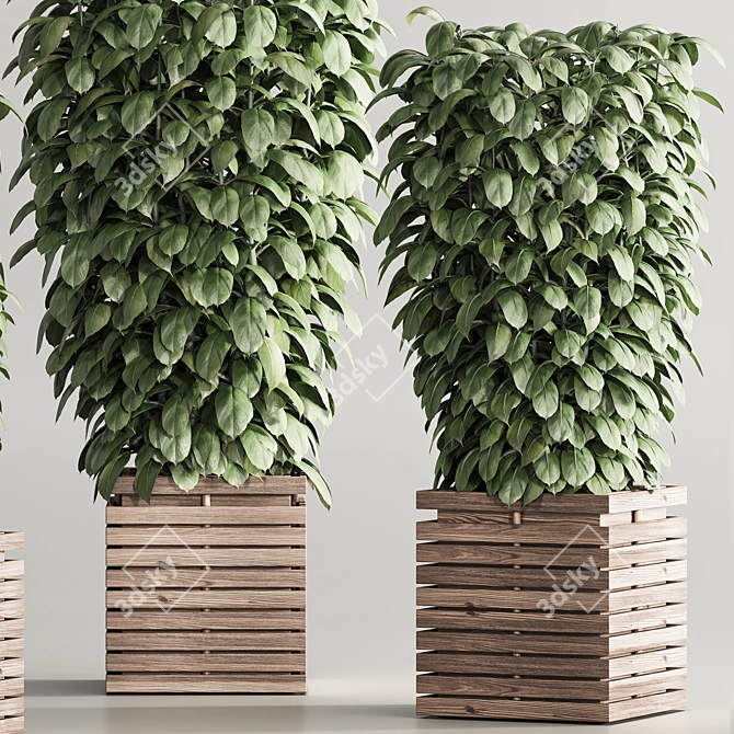  Contemporary Indoor Plant Set 97 3D model image 6
