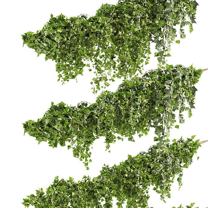 Ivy Fitowall Outdoor Plant Collection 3D model image 2
