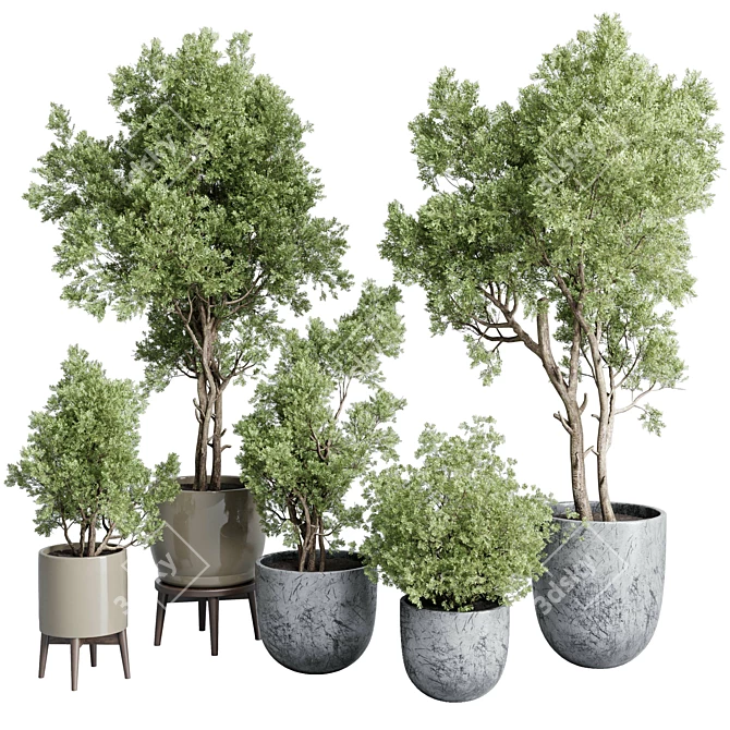 Vintage Concrete Vase Outdoor Trees 3D model image 2