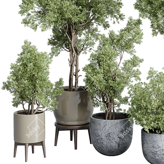 Vintage Concrete Vase Outdoor Trees 3D model image 3