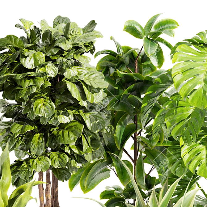Premium Indoor Plant Collection Set 3D model image 4