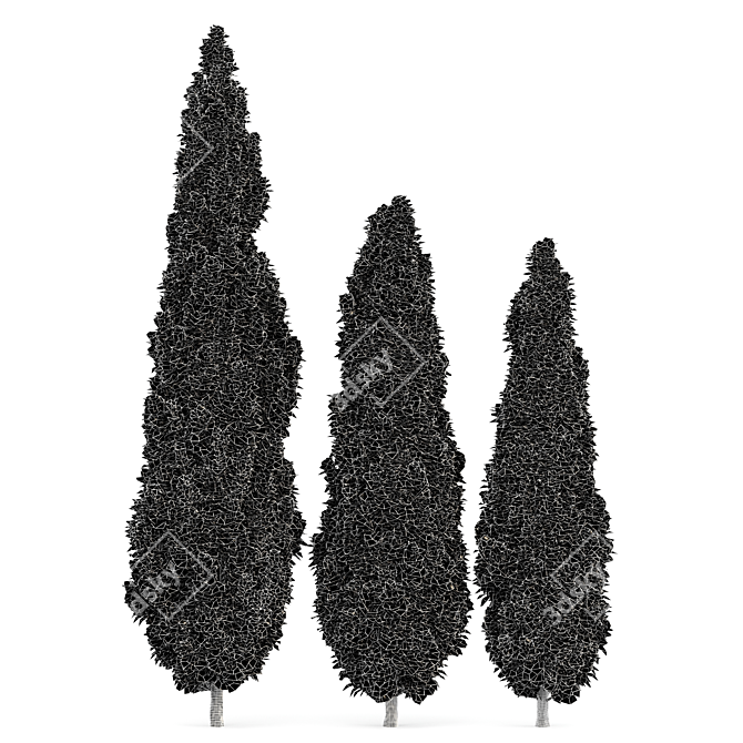 Italian Cypress 3D Tree Models 3D model image 6