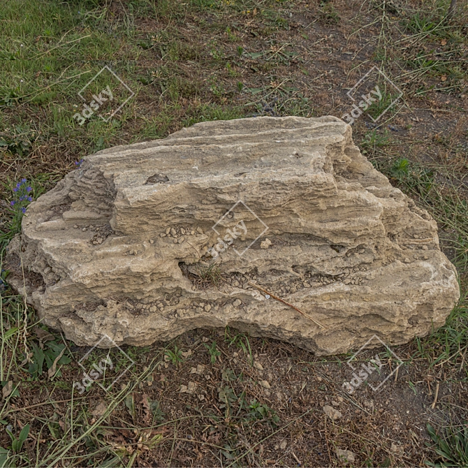Park Landscape Stone Texture Kit 3D model image 3