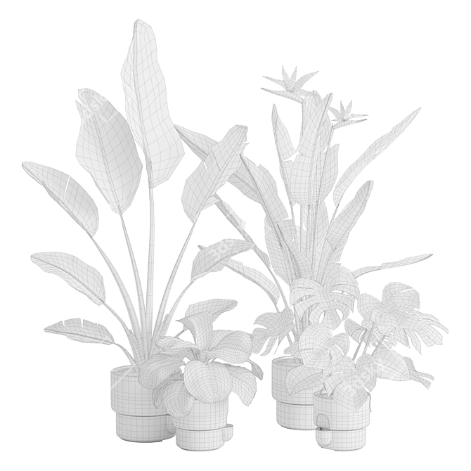 Exotic Indoor Plant Pack 39 3D model image 3