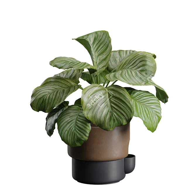 Exotic Indoor Plant Pack 39 3D model image 7