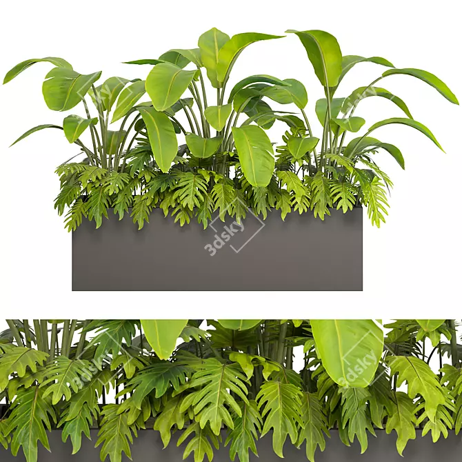 Tropical Outdoor Plant Set 2013 3D model image 2