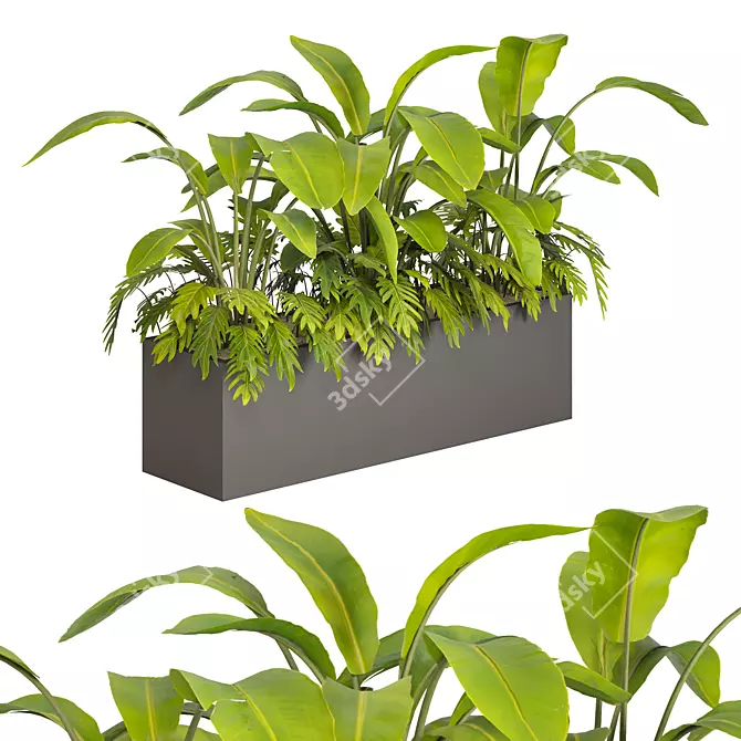 Tropical Outdoor Plant Set 2013 3D model image 3