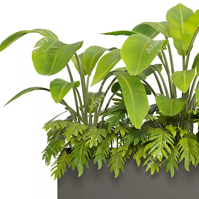 Tropical Outdoor Plant Set 2013 3D model image 4