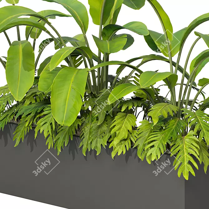 Tropical Outdoor Plant Set 2013 3D model image 5