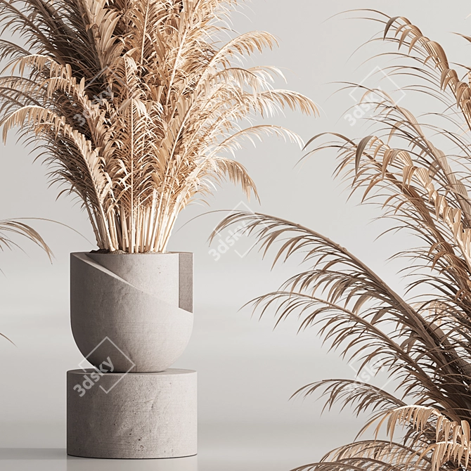 Modern 99 Dry Indoor Plants 3D model image 2