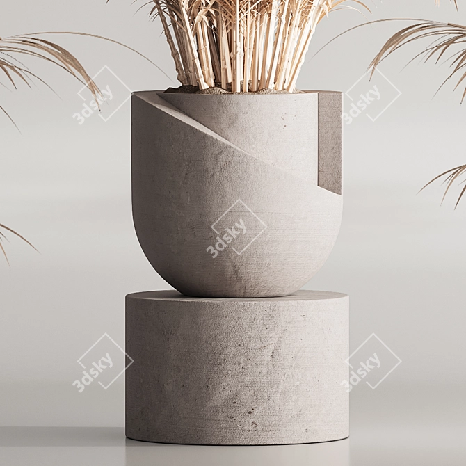 Modern 99 Dry Indoor Plants 3D model image 5