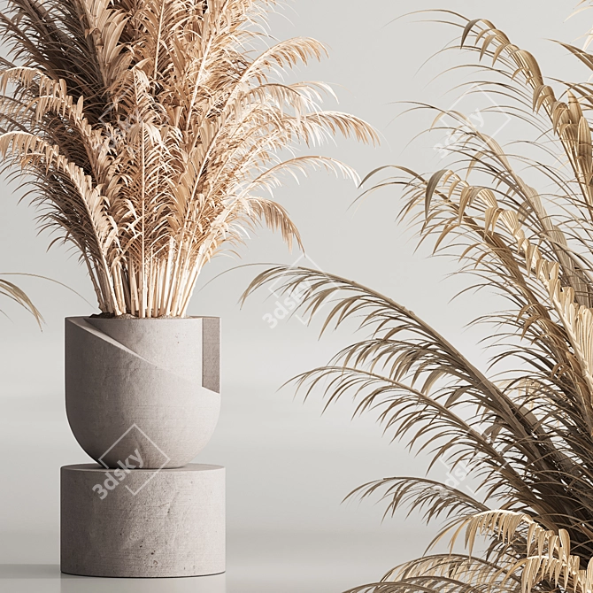Modern 99 Dry Indoor Plants 3D model image 8