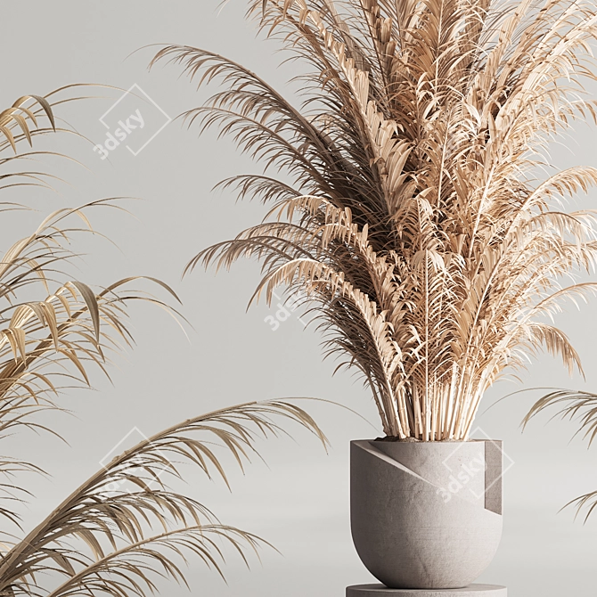 Modern 99 Dry Indoor Plants 3D model image 10