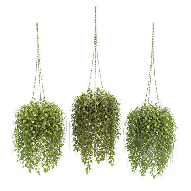 3D Hanging Basket Plants Collection 3D model image 1