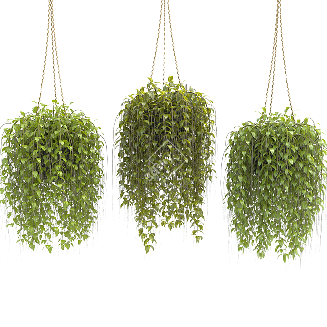 3D Hanging Basket Plants Collection 3D model image 2